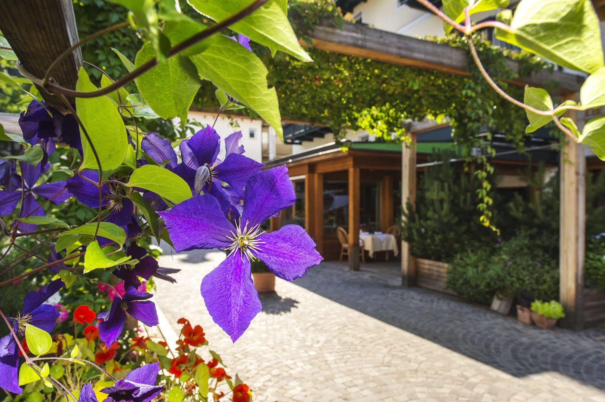Hotel Drumlerhof Кампо Турес Екстериор снимка